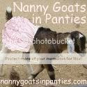 Nanny Goat in Panties