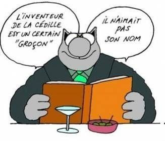 Album Le Chat Humour Le Blog De Reflexion Inspiration Over Blog Com