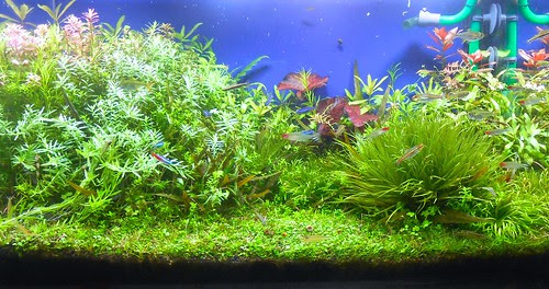 60タンク