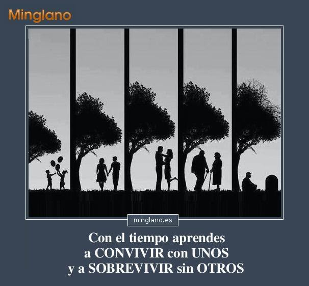 FRASES de ADAPTARSE a las CIRCUNSTANCIAS