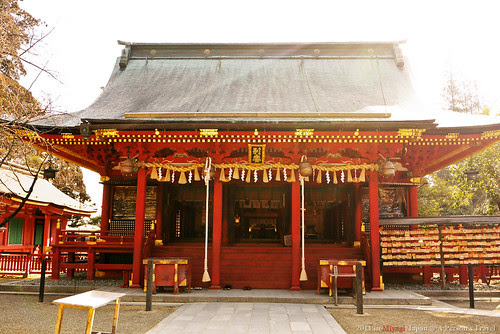 20110227-P1000494