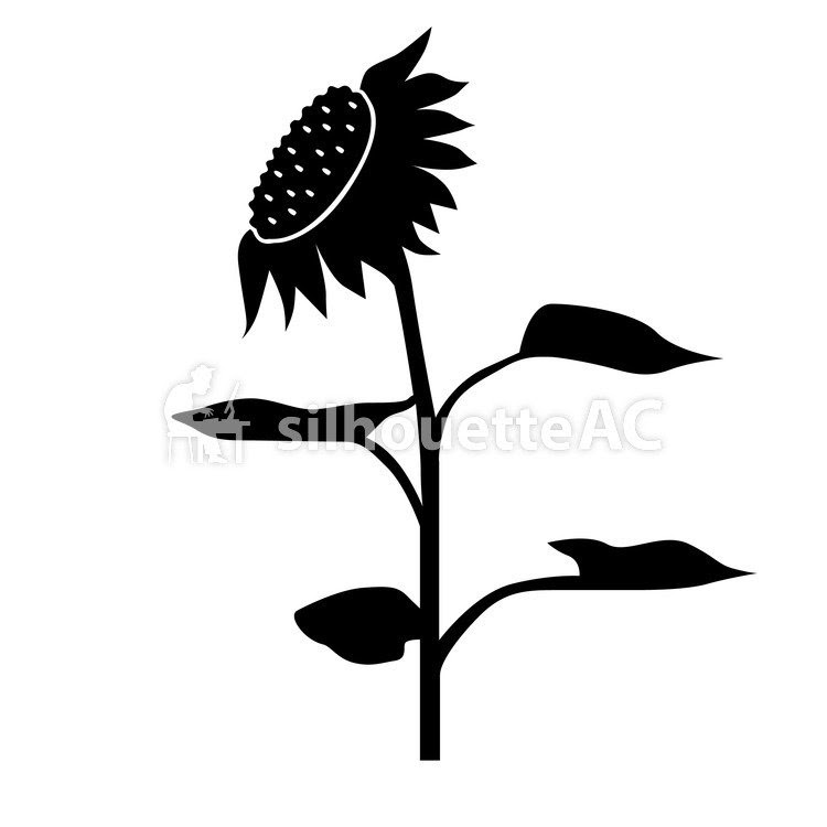 Download Sunflower Silhouette at GetDrawings | Free download