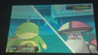 ライブ 雨パでシングルレート ポケモンoras かおる Kaorun Kaorun7 ツイキャス