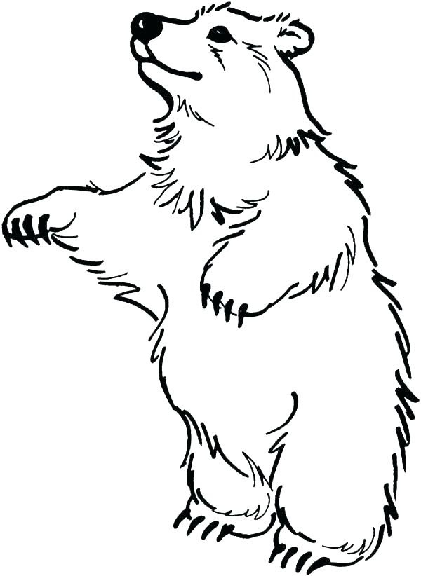 Download Coloring Pages Black Bear at GetColorings.com | Free ...