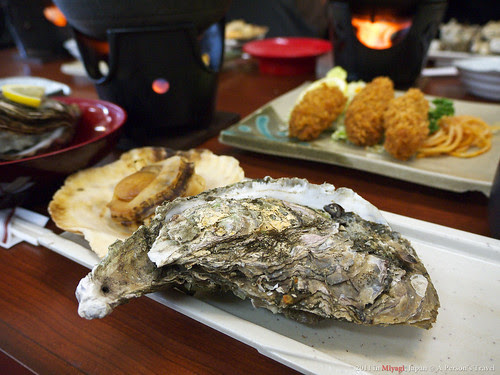 20110227-P1000638