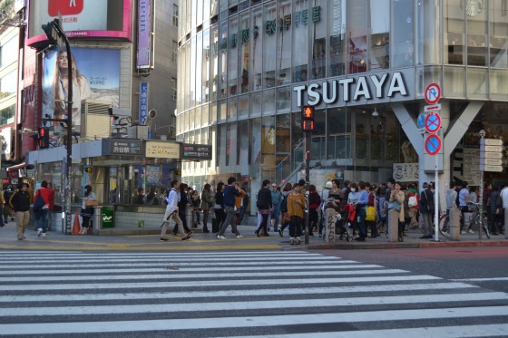 Shibuya Crossing // Shibuya Kreuzung