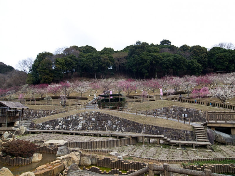 豊川市赤塚山公園 豊川市観光