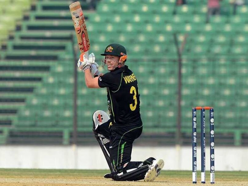 David Warner ODI 9