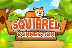 Squirrel Connection 