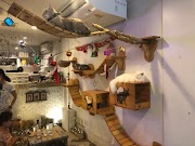 50+ Terkini Cat Cafe Zurich