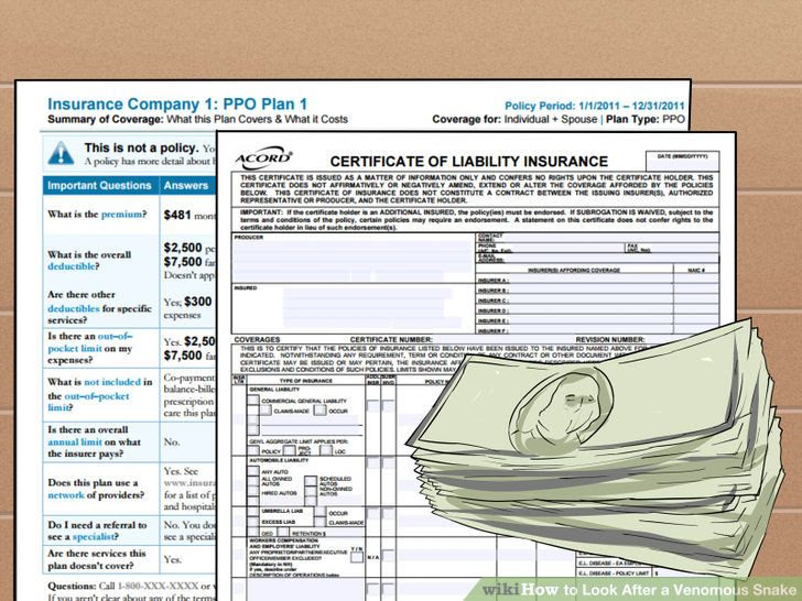 Look After a Venomous Snake Step 4 Version 2.jpg