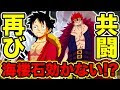 ワンピース 脱獄同盟 166189-ワンピース 脱獄同盟