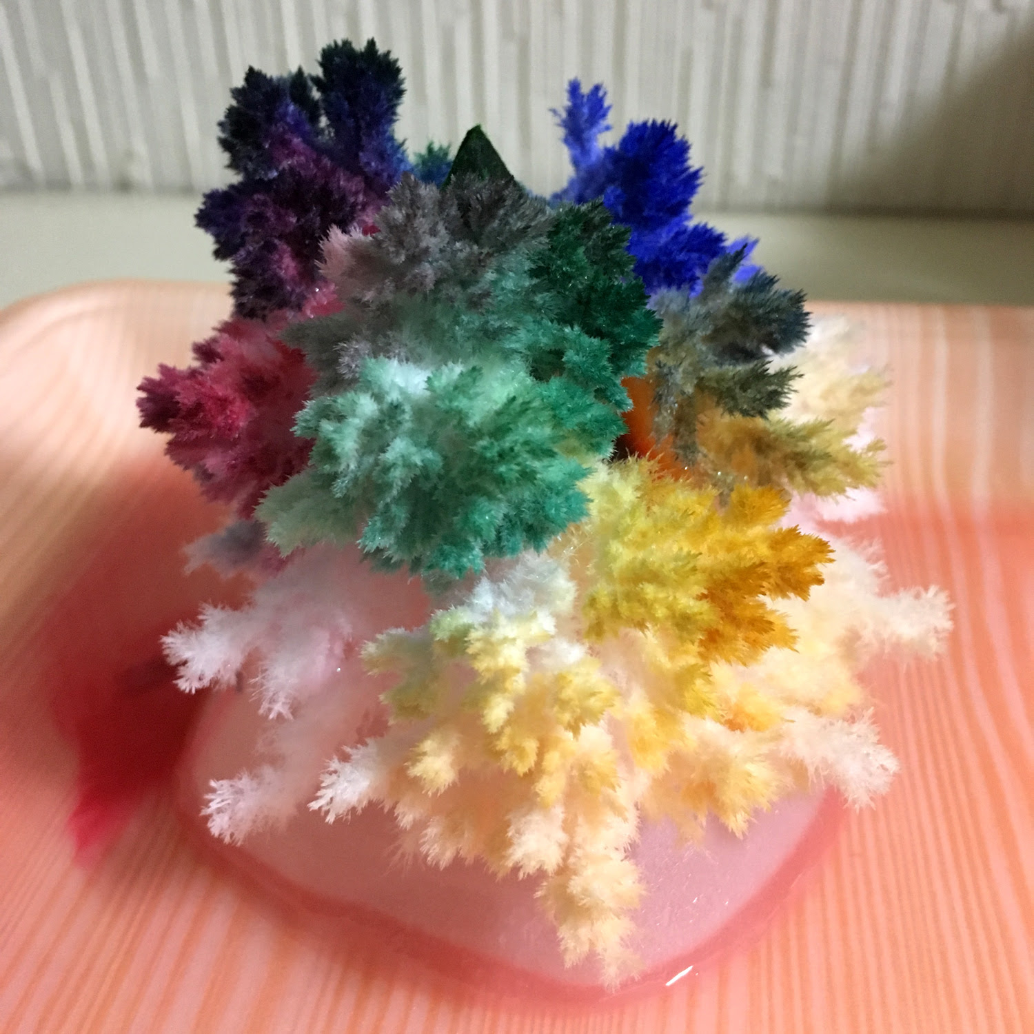 ダイソー ピカちんキット 結晶をつくろう 無駄遣いの記録