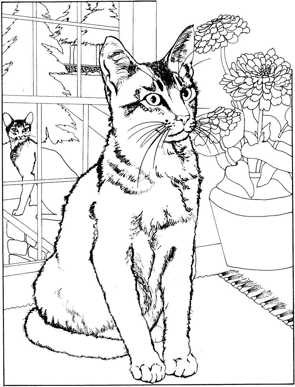Coloriage de chat   imprimer