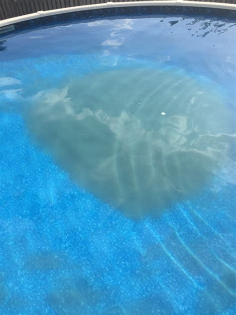 Home skills landscaping every editorial product is independently selected, though we may be com. Cleaning an Above Ground Pool | ThriftyFun