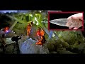 Crystal Weapons solidarity with the civilization of Atlantis