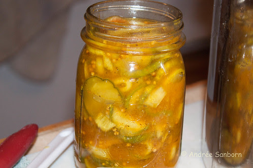 Making Bread & Butter Pickles-9.jpg