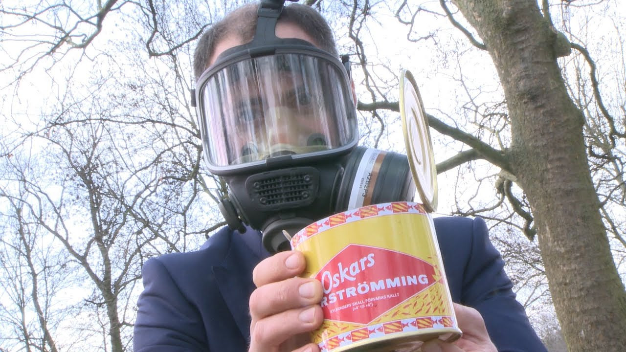 Surströmming: tasting the smelliest fish in the world ...