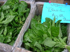 basil