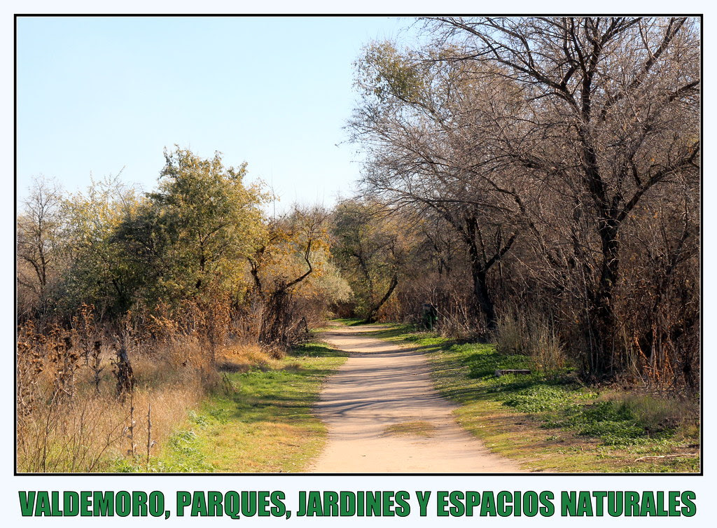 VALDEMORO, PARQUES, JARDINES Y ESPACIOS NATURALES