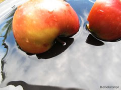 Apples and sky in my plate