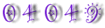 Web Hit Counter