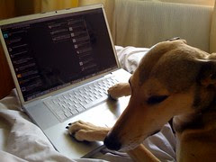 Dylan is my Twitter Ghost Writer