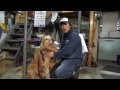 犬 抱え方 208396-犬 爪切り 抱え方