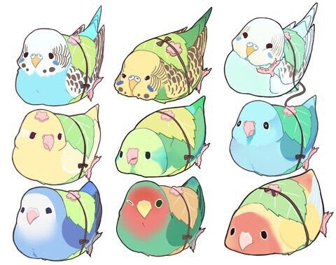 イメージ
