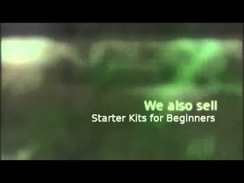 Harga Best Pet Supplies Bird Supplies Bird Food For Sale