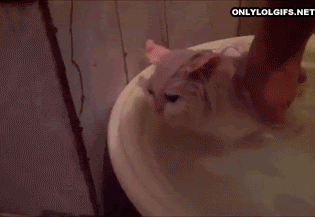 http://img-fotki.yandex.ru/get/9088/186894833.1e0/0_d419b_a5992d9e_orig.gif