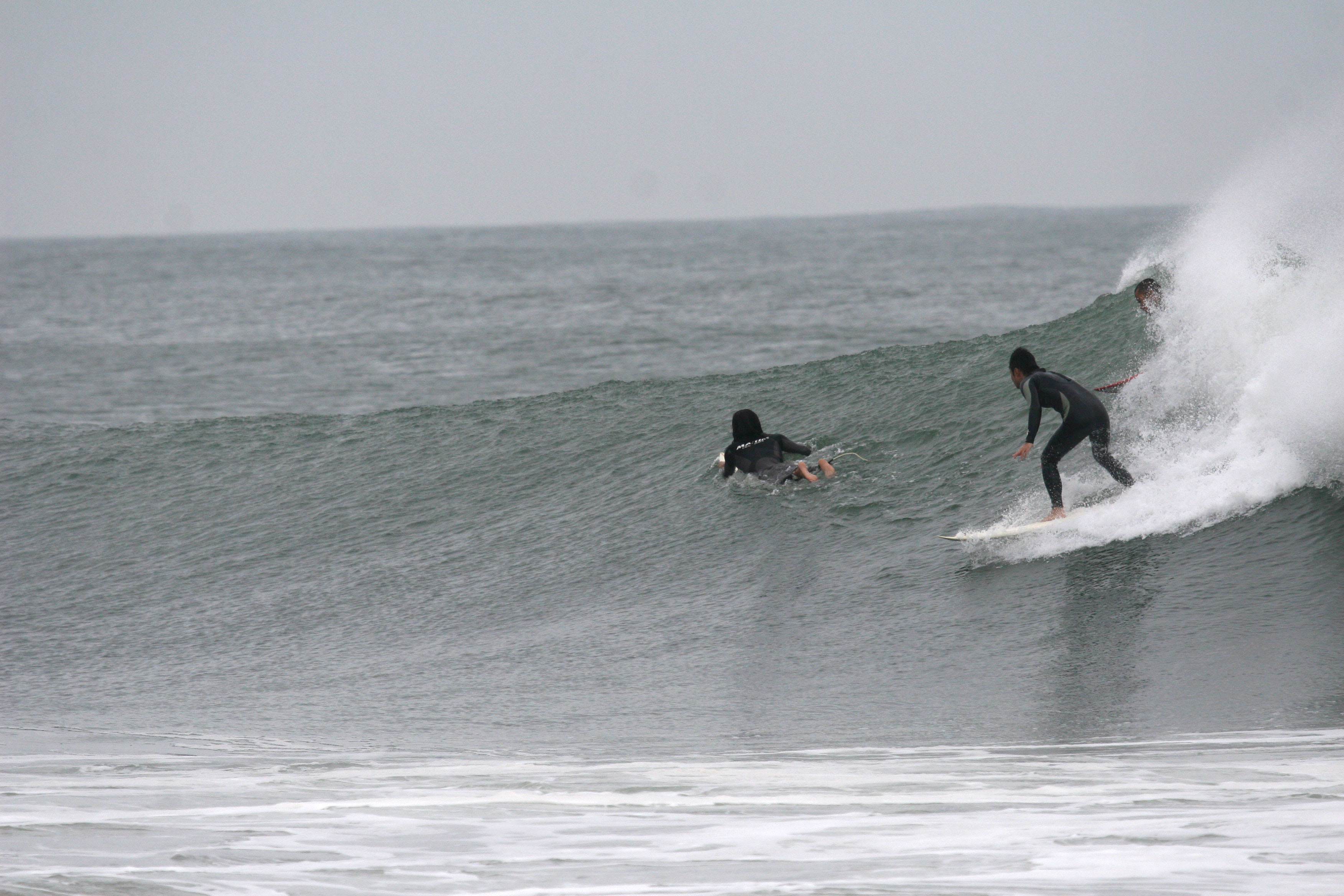 サーフィン 波 海 ビーチ専門 フリー写真素材 サーフィンレップス