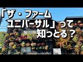 最高のコレクション 関西 ���芸 店 182750-関西 園芸店 ��気