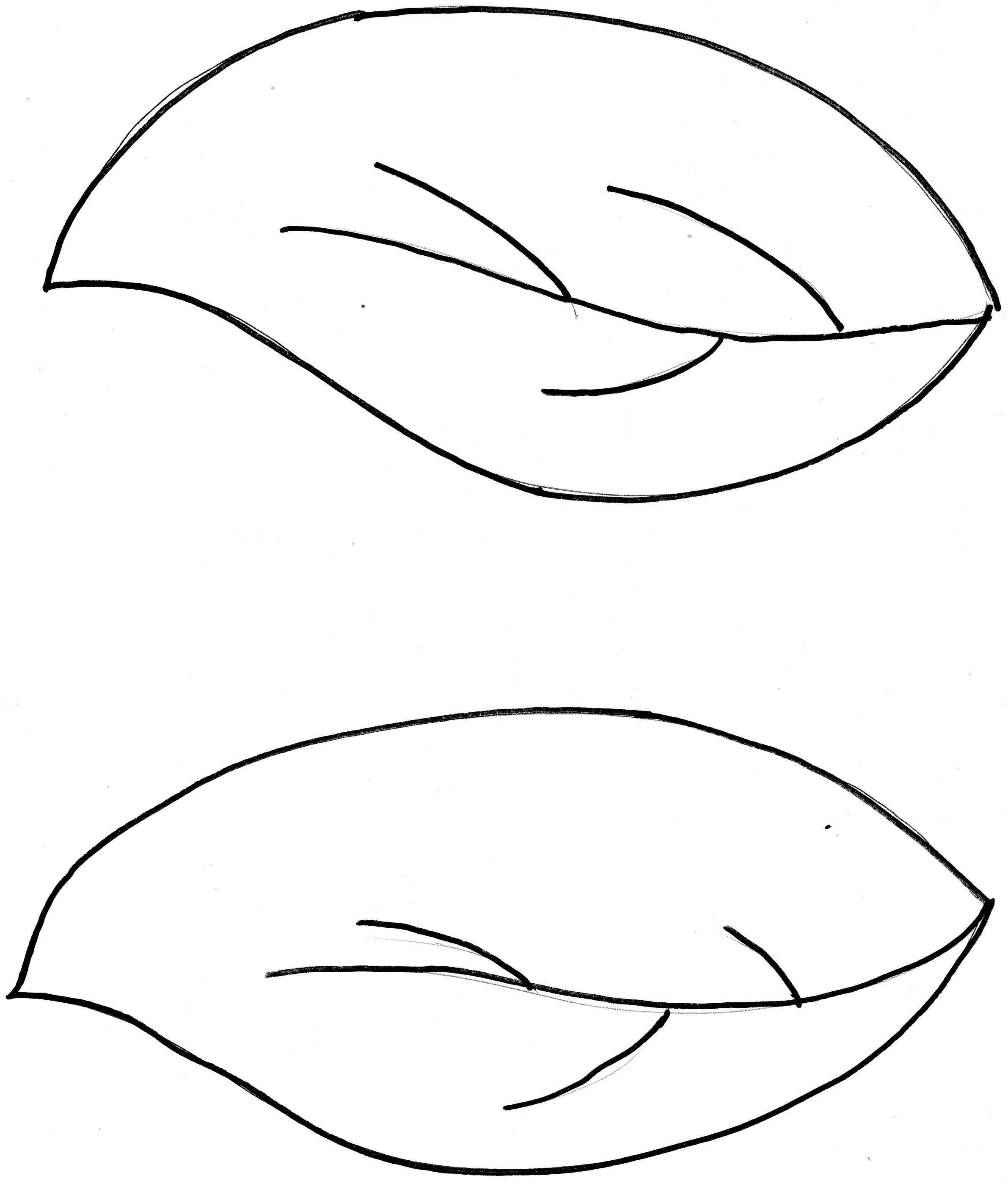 Jungle Leaf Template Cliparts.co