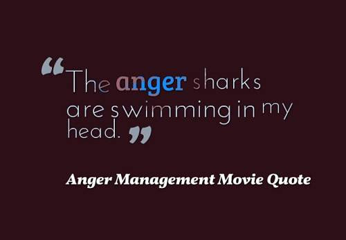 Goosfraba Anger Management Movie Quotes. QuotesGram