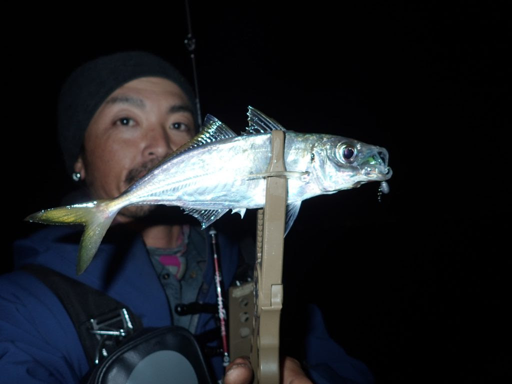 ソルトベイトフィネスでアジングを楽しむ Fishman公式ブログ