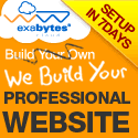 We design a professional website for you in just 7 Days!