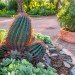 drough tolerant landscaping, cactus, rainwater harvesting, roofwater catchment, rain barrel, irrigation, California drought, water issues, water recycling, watering restrictions, epic drought, water conservation, water policy, brown lawn