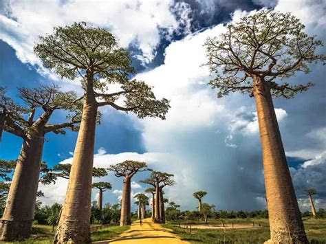 gambar pemandangan indah  luar negeri  bisa