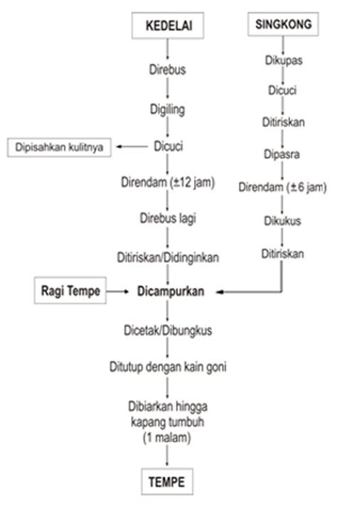 diagram alir pembuatan tempecampuran singkong