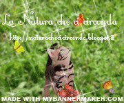Create your own banner at mybannermaker.com!