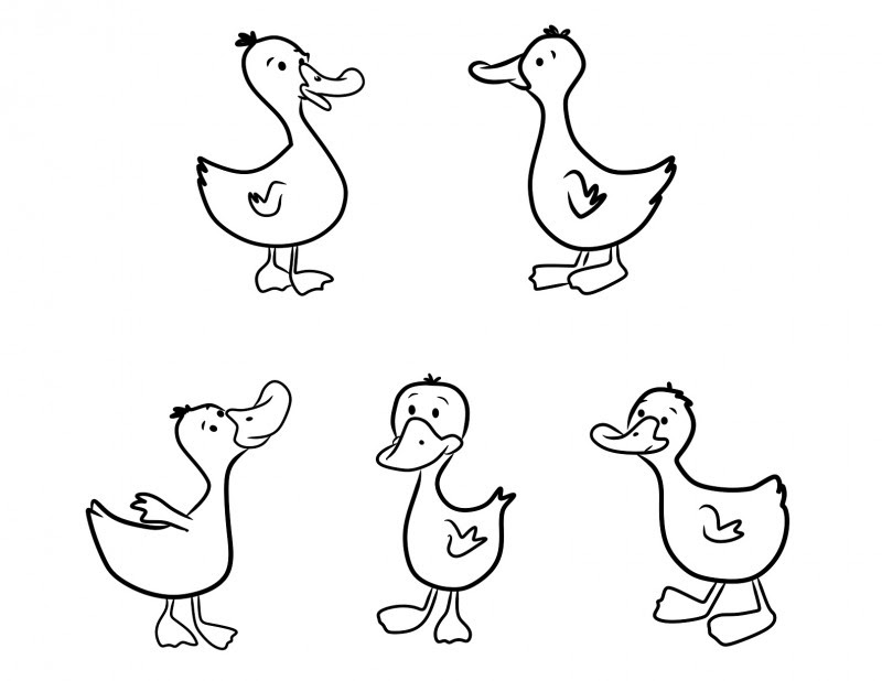 Dibujos de PATOS (Para Colorear y Pintar)