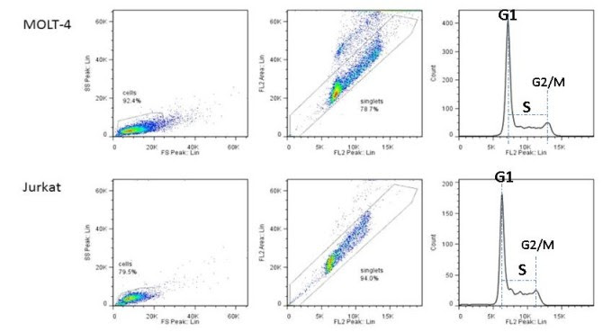 マイクロ流路チップ型フローサイトメトリー システムによる細胞周期 Cell Cycle の解析と抗がん剤の評価 抗癌剤評価 セルソーター セルアナライザー フローサイトメトリー オンチップ バイオテクノロジーズ