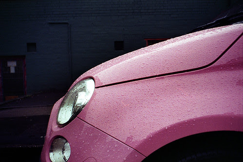 pink raindrops by pho-Tony