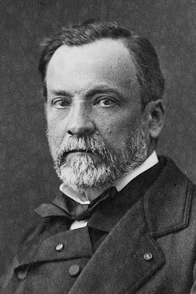 File:Louis Pasteur by Pierre Lamy Petit.jpg