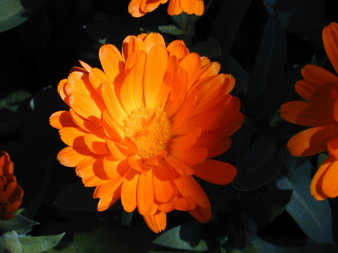 gabela02
