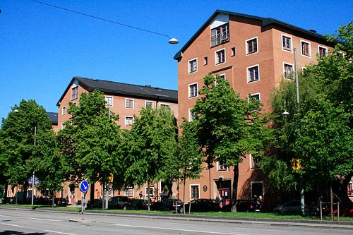 Ringvagenwebb.jpg