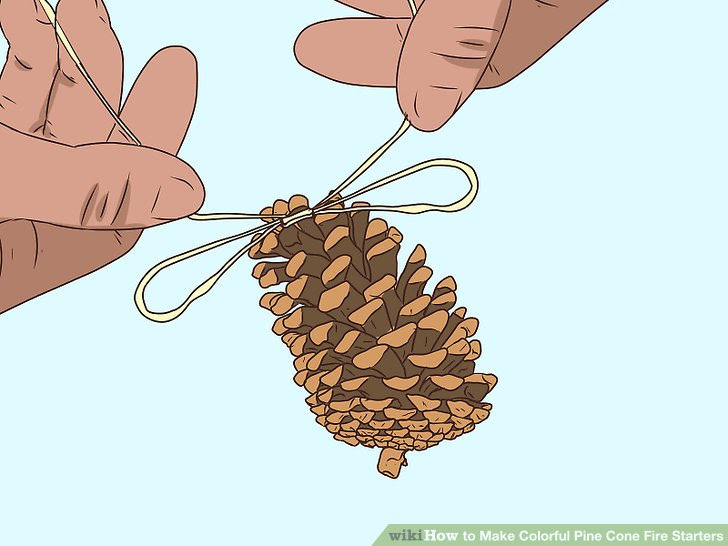 Make Colorful Pine Cone Fire Starters Step 5.jpg