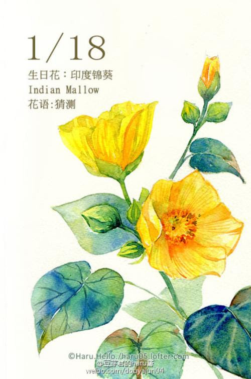 1月18日是什么生日花9月9日是什么节日 周易算命网