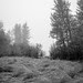 www.wanderinginfairbanks.com